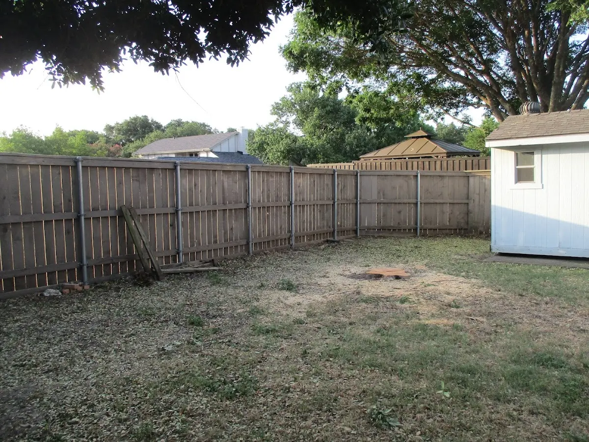 Cleared yard after professional tree removal in Woodside